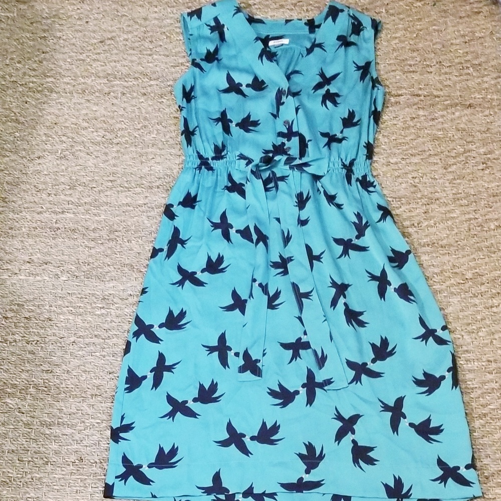 Fossil Dress👗